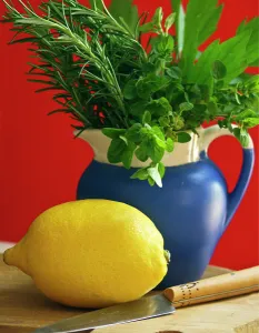 Lemon on chopping board with knife and bunch of mixed garden herbs in blue jug against Lemon on chopping board with knife and bunch of mixed garden herbs in blue jug against