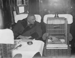 The Maharajah of Nawangar ( Ranji ) with his constant companion, his parrot Joey The Maharajah of Nawangar ( Ranji ) with his constant companion, his parrot Joey