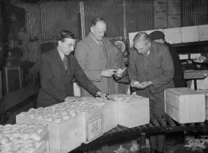 Men checking the packed fruit at the Fruit Farm in Swanley, Kent. 1938 Men checking the packed fruit at the Fruit Farm in Swanley, Kent. 1938