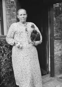 Mrs Cuckoo and her churkeys, Southfleet. 1937 Transylvanian Naked Neck Chickens Mrs Cuckoo and her churkeys, Southfleet. 1937 Transylvanian Naked Neck Chickens