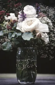 Old fashioned posy of full blown roses and gypsophila aganst dark background credit Old fashioned posy of full blown roses and gypsophila aganst dark background credit