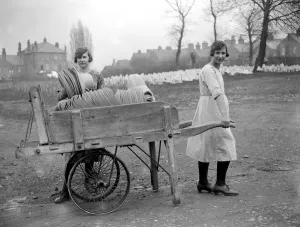Panama Hat making at Messrs I. Cambis at Boreham Wood, Elstree. A barrow load Panama Hat making at Messrs I. Cambis at Boreham Wood, Elstree. A barrow load
