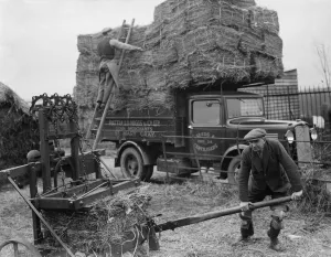 Pattullo Higgs and Co Ltd workers use a press to make hay bales. They then load Pattullo Higgs and Co Ltd workers use a press to make hay bales. They then load