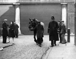 PC Dent and a lame horse - if the horse was not fit for work, then it would be immediately PC Dent and a lame horse - if the horse was not fit for work, then it would be immediately