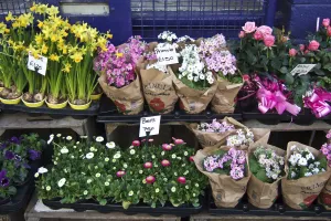 Plant on racks outside London flower shop. credit: Marie-Louise Avery / thePictureKitchen Plant on racks outside London flower shop. credit: Marie-Louise Avery / thePictureKitchen