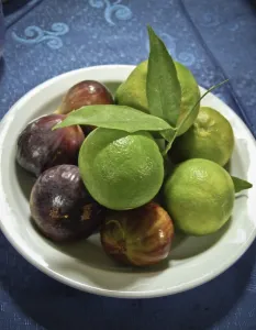 Plate of fruit on table of restaurant in southern Cyprus. credit: Marie-Louise Plate of fruit on table of restaurant in southern Cyprus. credit: Marie-Louise