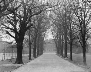 At the Ranelagh Club, Barnes, West London, the avenue of trees leading up to the Club House At the Ranelagh Club, Barnes, West London, the avenue of trees leading up to the Club House