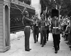 Representatives of the various Commonwealth Services, selected from the contingents Representatives of the various Commonwealth Services, selected from the contingents