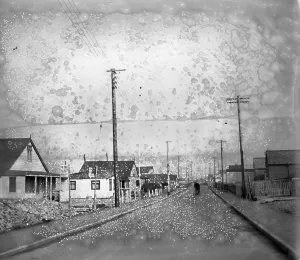 A road of bungalows at Shoreham - by - Sea, West Sussex. 1931 A road of bungalows at Shoreham - by - Sea, West Sussex. 1931