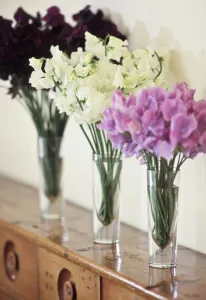 Three simple bunches of different coloured sweet peas in tall glasses on old wooden Three simple bunches of different coloured sweet peas in tall glasses on old wooden