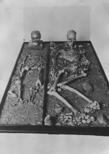 Skeletons exhibited in a Berlin museum, estimated by scientists to be at least 25000 years old Skeletons exhibited in a Berlin museum, estimated by scientists to be at least 25000 years old