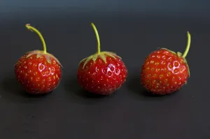 Three small strawberries in a row on black plate credit: Marie-Louise Avery / thePictureKitchen Three small strawberries in a row on black plate credit: Marie-Louise Avery / thePictureKitchen