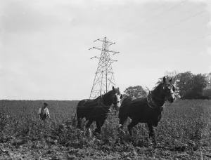 A team of four houses ploughing a large field in the background is a pylon A team of four houses ploughing a large field in the background is a pylon