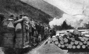 The timber railway high up in the Carpathian Mountains on the Hungarian-Russian border The timber railway high up in the Carpathian Mountains on the Hungarian-Russian border