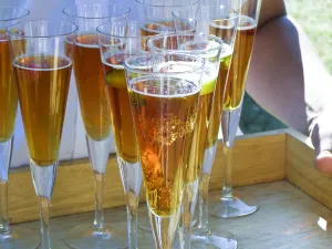 Tray of champagne cocktails at summer, outdoor wedding credit: Marie-Louise Avery Tray of champagne cocktails at summer, outdoor wedding credit: Marie-Louise Avery