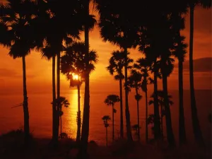 Tropical beauty. Thailand. Phuket. Sunset over the sea Tropical beauty. Thailand. Phuket. Sunset over the sea