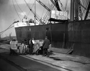Unloading tea at Tilbury Docks from the SS Glenarra . 5 March 1924 Unloading tea at Tilbury Docks from the SS Glenarra . 5 March 1924
