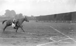 Woolwich Tattoo. T. Philips performs stunts with a horse. 1934 Woolwich Tattoo. T. Philips performs stunts with a horse. 1934