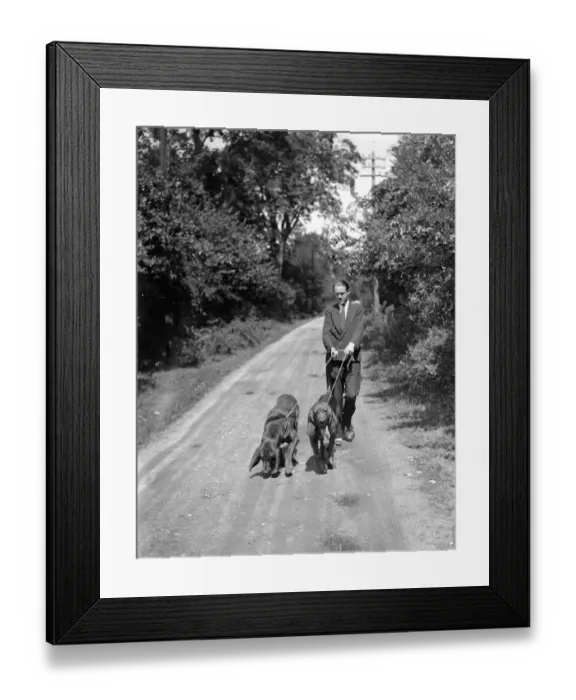 Framed Print : Mr J Chamberlain and his bloodhounds on the trail Framed Print : Mr J Chamberlain and his bloodhounds on the trail