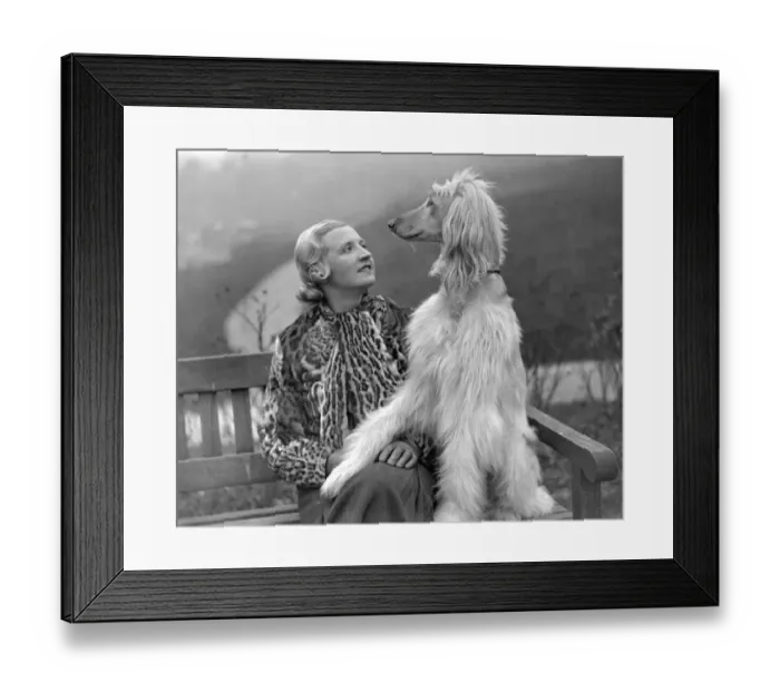 Framed Print : Tunbridge Wells Canine Societys Show. Mrs Edna Carlton with her prize winning Afghan Framed Print : Tunbridge Wells Canine Societys Show. Mrs Edna Carlton with her prize winning Afghan