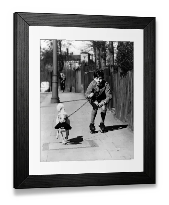 Framed Print : Boy rollerskating on the pavement with his pet dog on a lead, who is carrying