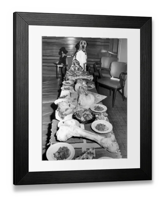 Framed Print : A Dogs Dinner, 19th August 1963 In honour of his first birthday, dalmation Shawclough