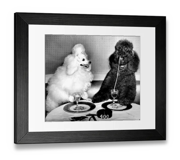 Framed Print : Dog socialites Candide and Koko on right have a dinner martini at the 400 Restaurant