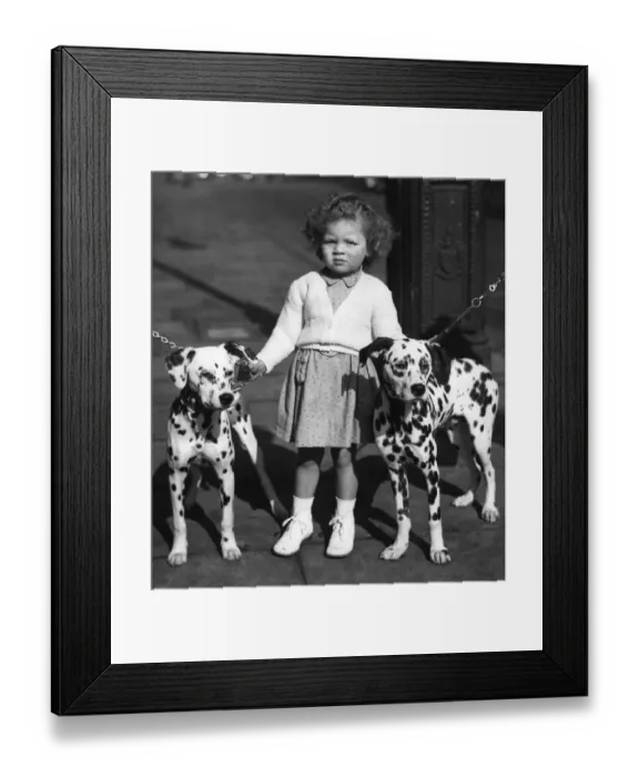 Framed Print : Child with dalmations. Three year old Jennifer Gulding of Cambridge makes sure these Framed Print : Child with dalmations. Three year old Jennifer Gulding of Cambridge makes sure these