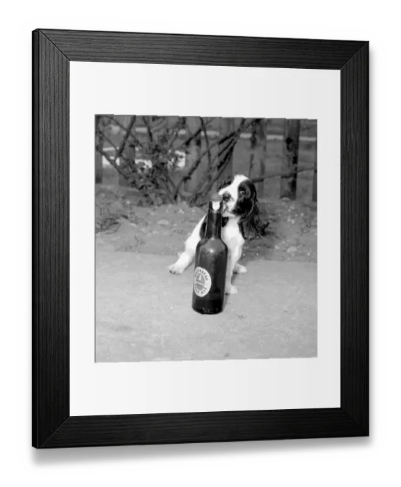 Framed Print : Give Me Pale Ale anytime. April 1958 Framed Print : Give Me Pale Ale anytime. April 1958