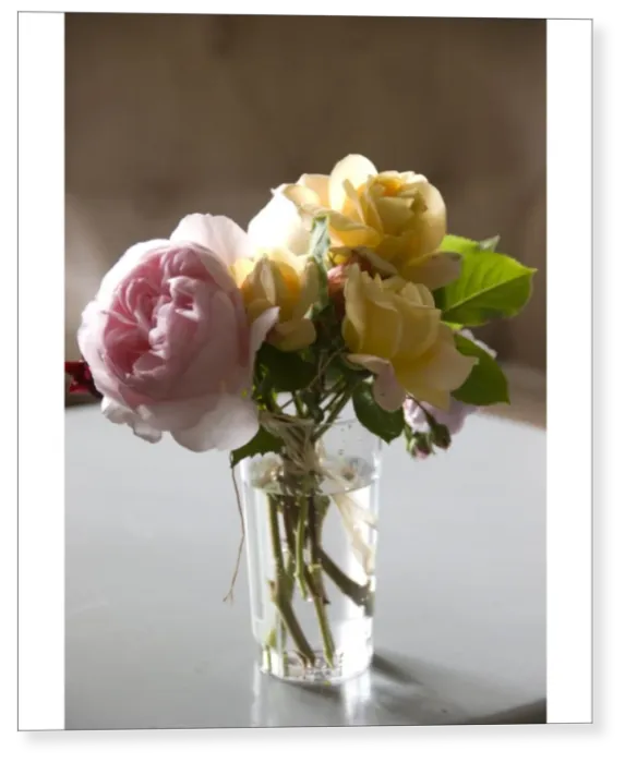 Print : Bunch of garden roses tied with raffia in clear glass on painted table indoors credit