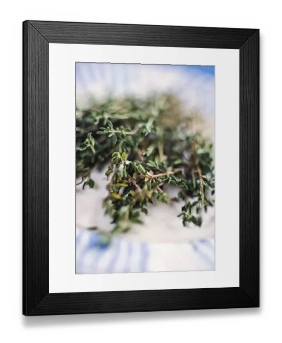 Framed Print : Close up of bunch of fresh thyme credit: Marie-Louise Avery  /  thePictureKitchen