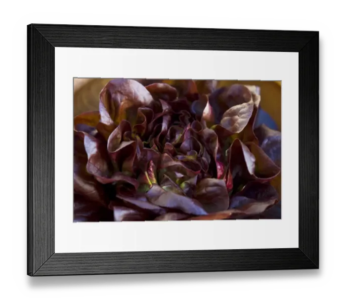 Framed Print : Dark red whole lettuce in wooden bowl credit: Marie-Louise Avery / thePictureKitchen Framed Print : Dark red whole lettuce in wooden bowl credit: Marie-Louise Avery / thePictureKitchen