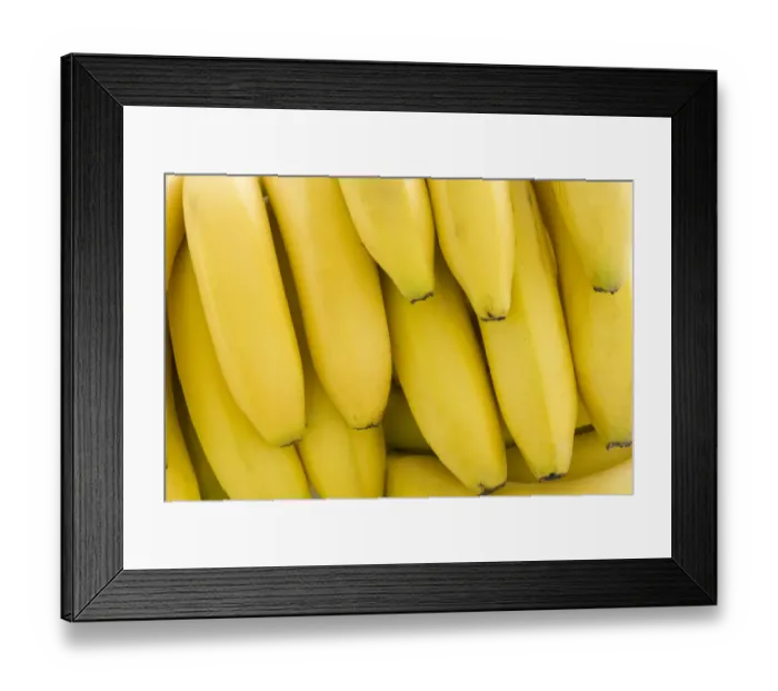 Framed Print : Close up of binch of bananas credit: Marie-Louise Avery / thePictureKitchen / TopFoto Framed Print : Close up of binch of bananas credit: Marie-Louise Avery / thePictureKitchen / TopFoto