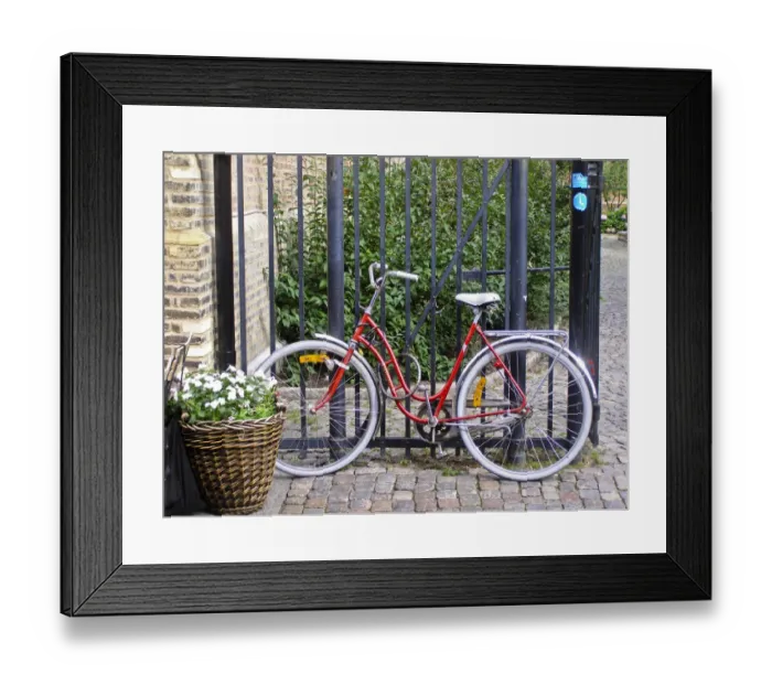 Framed Print : Red bicycle against black iron railings with planter basket of flowers credit
