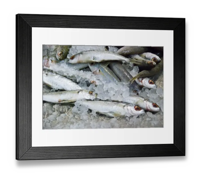 Framed Print : Fresh sardines on the fish couner of the covered market in Limassol, Cyprus credit Framed Print : Fresh sardines on the fish couner of the covered market in Limassol, Cyprus credit