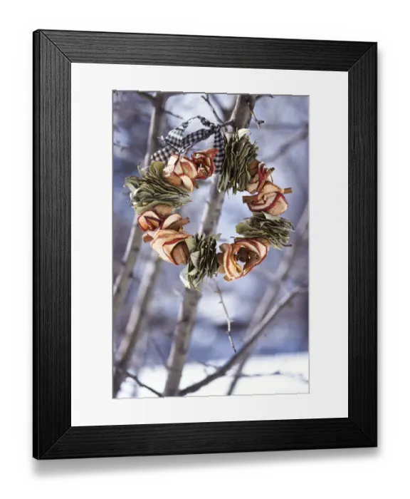 Framed Print : Winter wreath of dried apples and bay leaves and gingham ribbon, hanging outside Framed Print : Winter wreath of dried apples and bay leaves and gingham ribbon, hanging outside