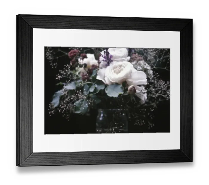 Framed Print : Old fashioned posy of full blown roses and gypsophila aganst dark background credit Framed Print : Old fashioned posy of full blown roses and gypsophila aganst dark background credit