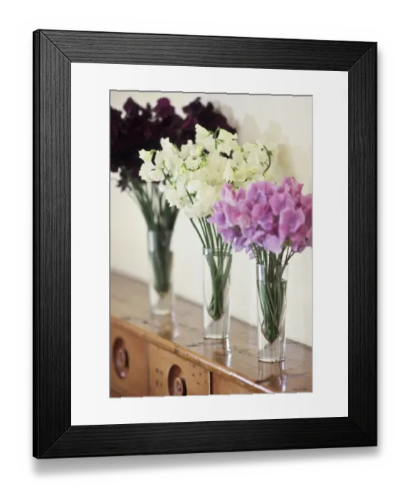 Framed Print : Three simple bunches of different coloured sweet peas in tall glasses on old wooden Framed Print : Three simple bunches of different coloured sweet peas in tall glasses on old wooden