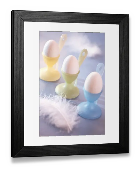 Framed Print : Pastel coloured eggcups with boiled eggs and feather decoration credit: Marie-Louise Framed Print : Pastel coloured eggcups with boiled eggs and feather decoration credit: Marie-Louise
