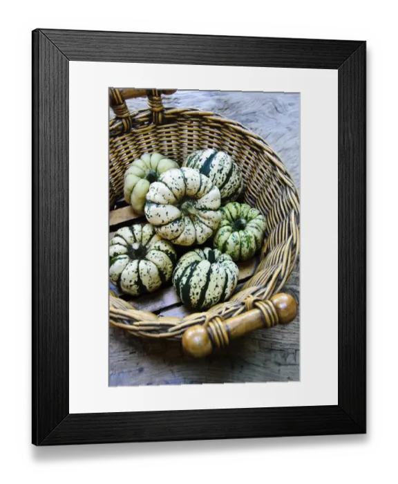 Framed Print : Large basket of decorative gourds credit: Marie-Louise Avery  /  thePictureKitchen
