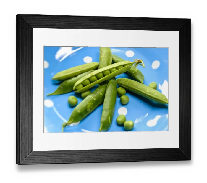 Framed Print : Fresh garden peas in their pods on blue spotted plate credit: Marie-Louise Avery Framed Print : Fresh garden peas in their pods on blue spotted plate credit: Marie-Louise Avery
