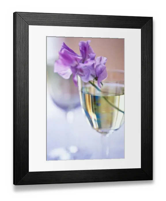Framed Print : Stem of mauve sweet pea in wine glass credit: Marie-Louise Avery / thePictureKitchen Framed Print : Stem of mauve sweet pea in wine glass credit: Marie-Louise Avery / thePictureKitchen