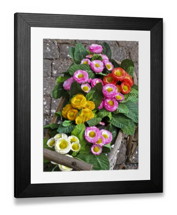 Framed Print : Pretty fake flowers in toy pram as decoration on granite setts outside shop in Haga Framed Print : Pretty fake flowers in toy pram as decoration on granite setts outside shop in Haga