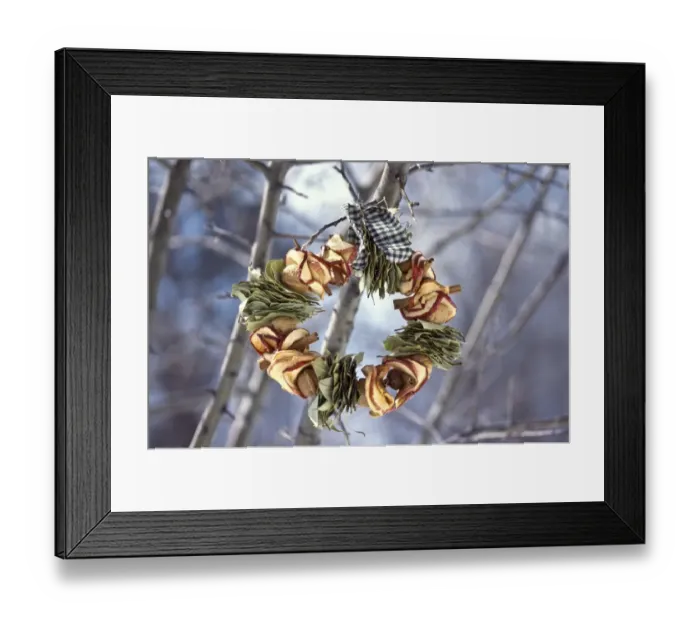 Framed Print : Winter wreath of dried apples and bay leaves and gingham ribbon, hanging outside Framed Print : Winter wreath of dried apples and bay leaves and gingham ribbon, hanging outside