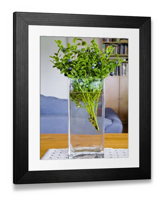 Framed Print : Blueberries on their stems picked as a bouquet in glass vase in Swedish interior credit Framed Print : Blueberries on their stems picked as a bouquet in glass vase in Swedish interior credit