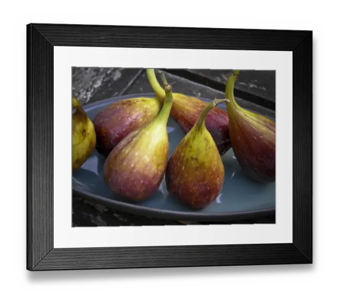 Framed Print : Fresh figs on pottery plate outside on garden table credit: Marie-Louise Avery Framed Print : Fresh figs on pottery plate outside on garden table credit: Marie-Louise Avery