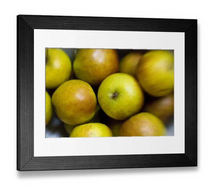 Framed Print : Massed Coxs apples ahot with a lensbaby lens for blurred edge effect credit: Marie-Louise Framed Print : Massed Coxs apples ahot with a lensbaby lens for blurred edge effect credit: Marie-Louise