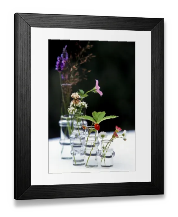 Framed Print : Wildflowers in glass vases credit: Marie-Louise Avery / thePictureKitchen / TopFoto Framed Print : Wildflowers in glass vases credit: Marie-Louise Avery / thePictureKitchen / TopFoto