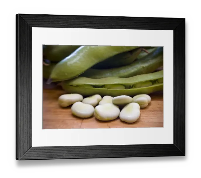 Framed Print : Freshly podded pale green broad beans on wooden surface credit: Marie-Louise Avery Framed Print : Freshly podded pale green broad beans on wooden surface credit: Marie-Louise Avery