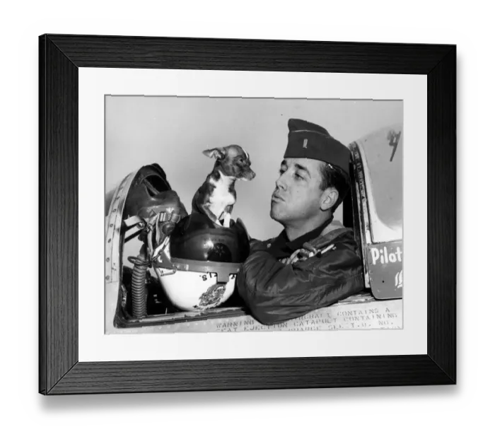 Framed Print : Hows about a little kiss, Chihuahua? First Lt James A Mills, of Charlotte, North Framed Print : Hows about a little kiss, Chihuahua? First Lt James A Mills, of Charlotte, North